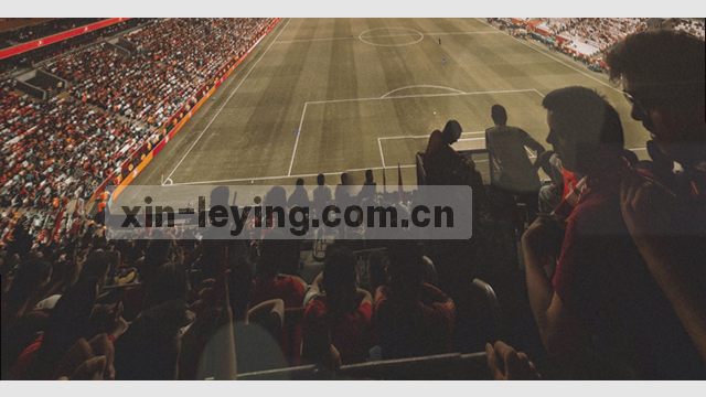 乐盈2025极速适配